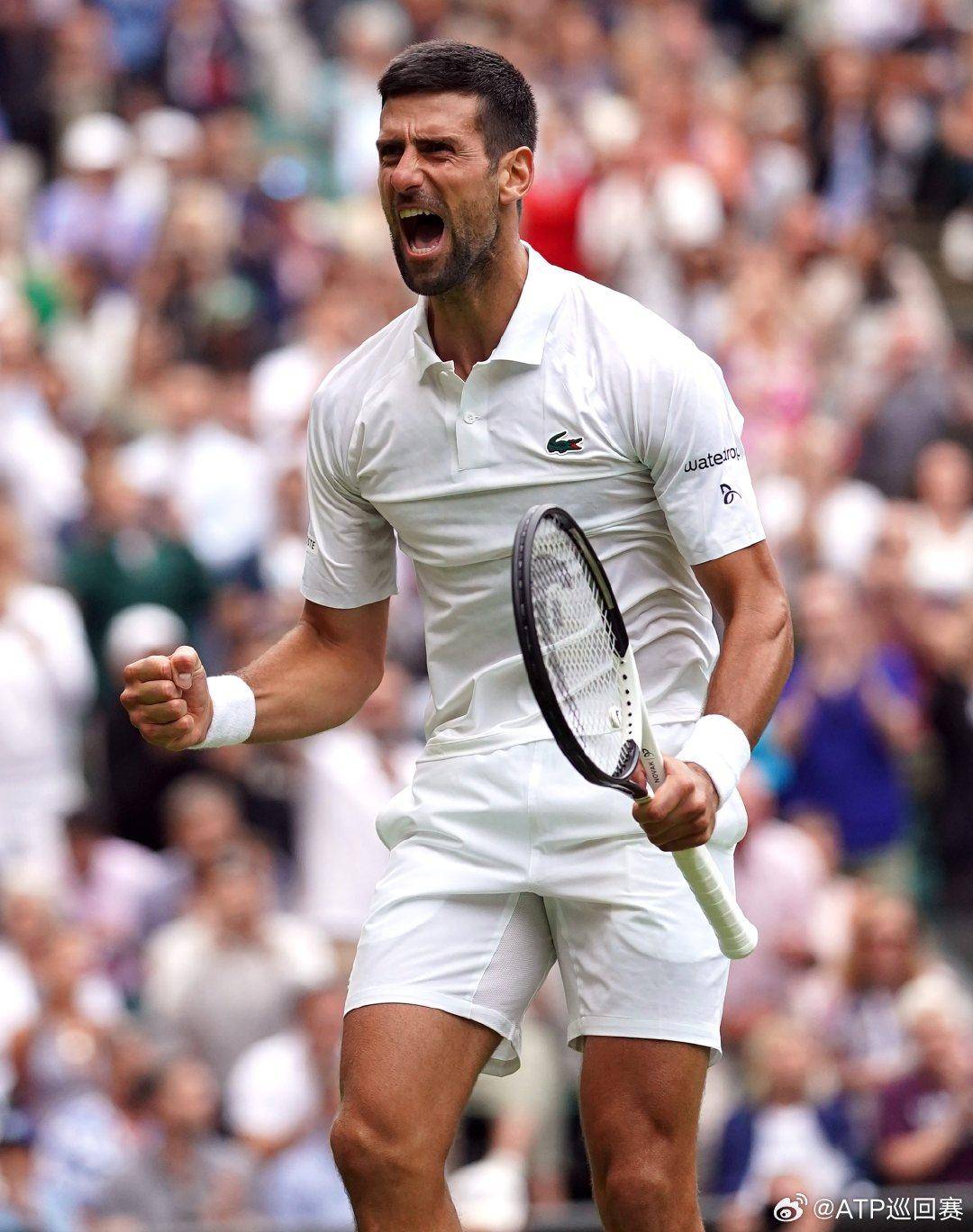 寻求突袭机 寻求突袭机