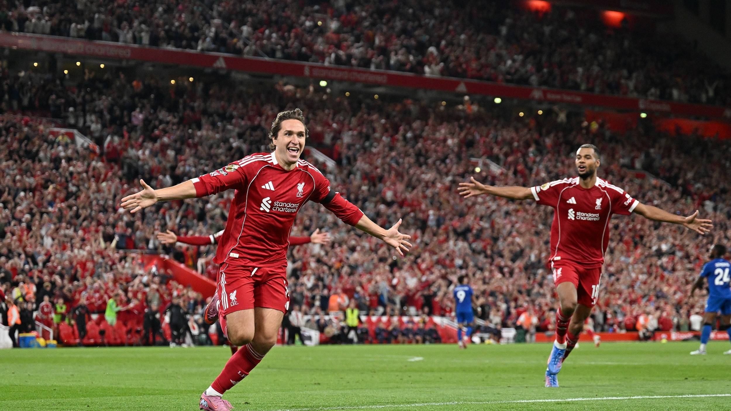 的整体表现 的整体表现