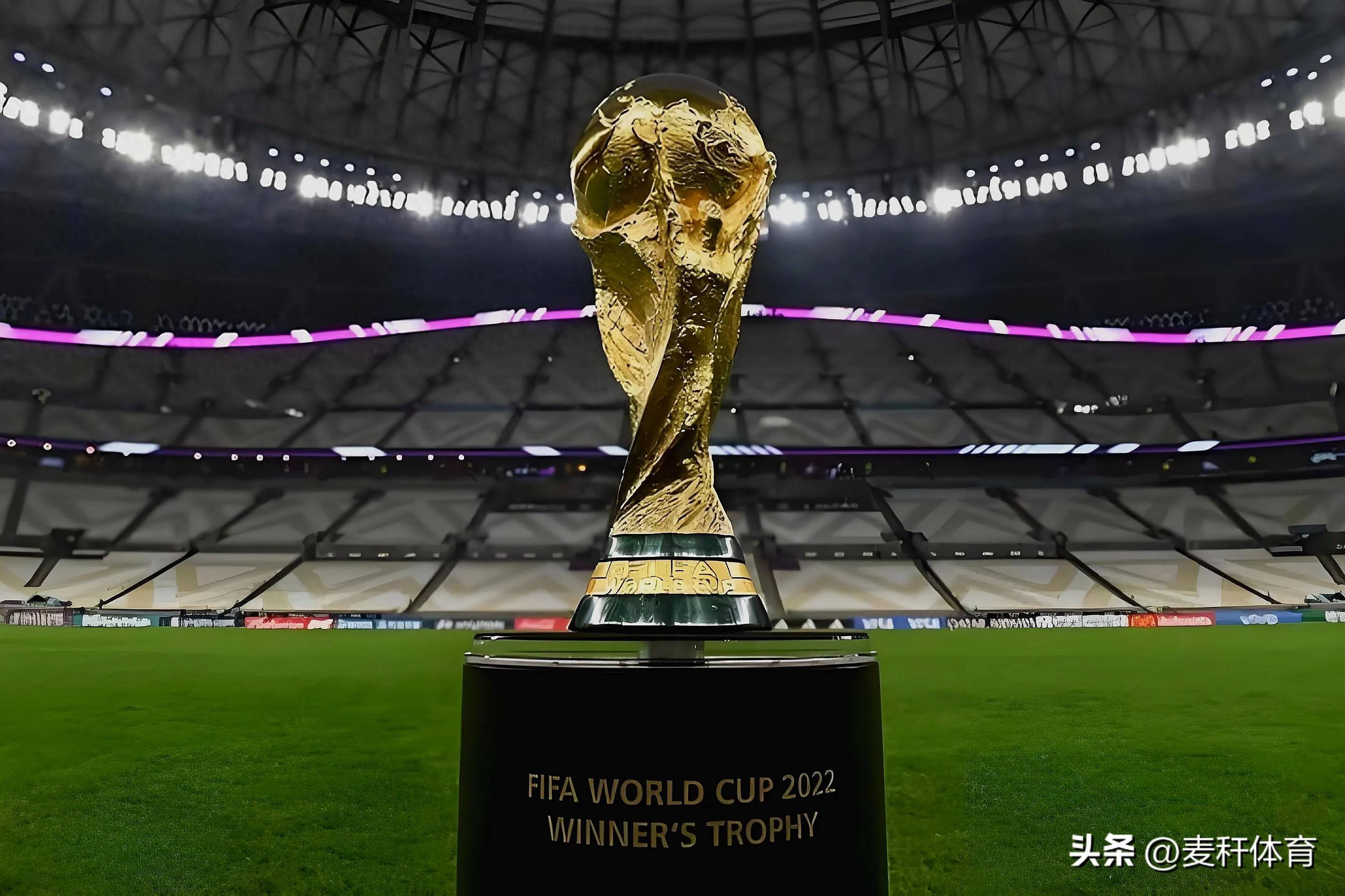 大的帮手 大的帮手